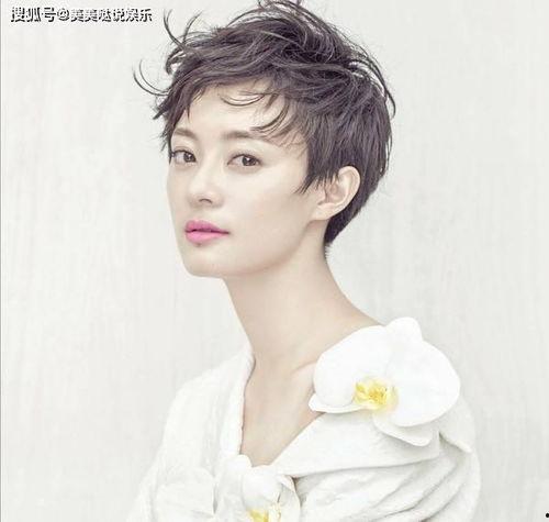 南方的明星有哪些,南方明星风采掠影