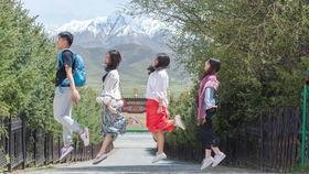 who you mv拍摄花絮,制作团队的创意火花与幕后故事