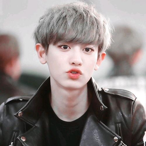 朴灿烈娱乐圈甜文,娱乐圈甜蜜恋曲